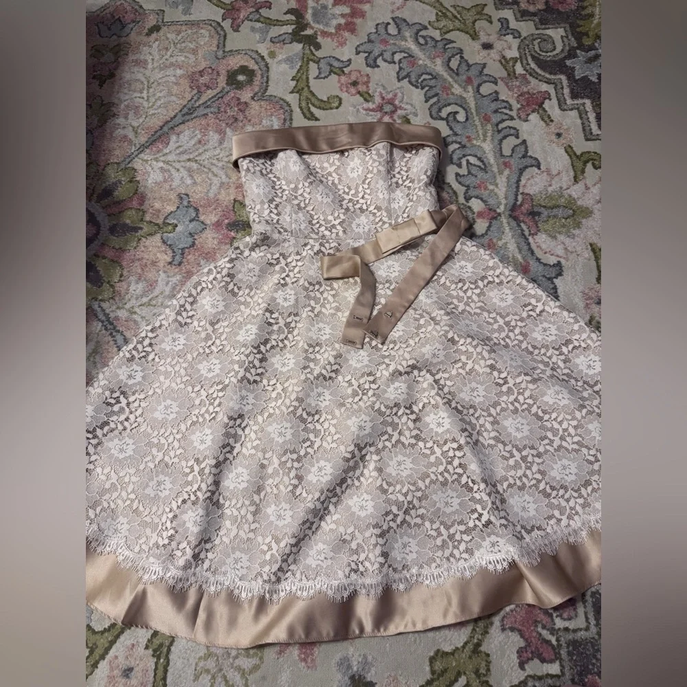 White House black market champagne and sanity lace dress - Picture 2 of 10